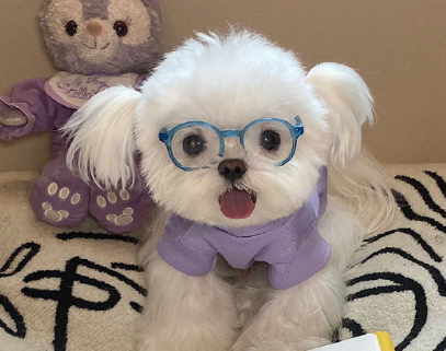 追求自由的洒脱昵称 自由豪放的昵称 追求自由的洒脱昵称 自由豪放的昵称