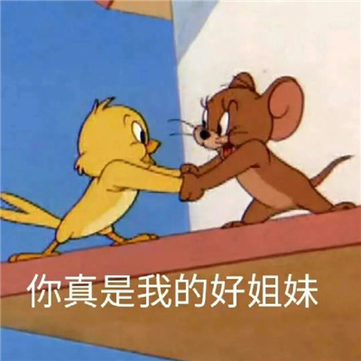 很不一样的逗比表情合集 史上超逗的幽默感表情