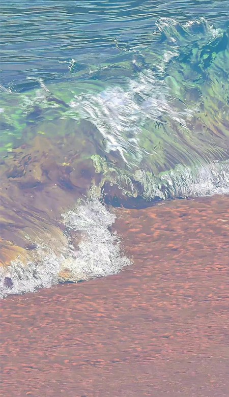 万物可爱的锁屏壁纸高清 绝绝子的可爱十足的壁纸合集