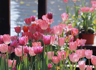 松弛感的心态文案 让人心态轻松的句子 松弛感的心态文案 让人心态轻松的句子