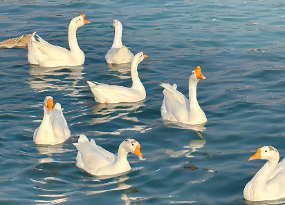 瞬间让男人佩服你的文案 女人很强大的语录 瞬间让男人佩服你的文案 女人很强大的语录