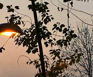 2023四月再见伤感说说 告别四月的伤感语录 2023四月再见伤感说说 告别四月的伤感语录