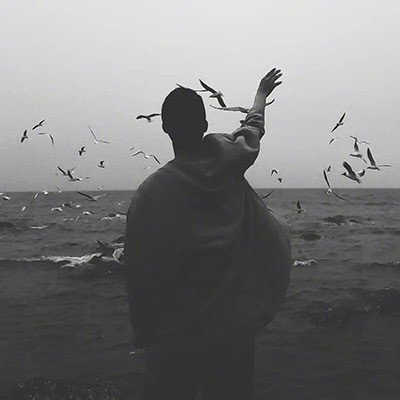 2023可爱男头呆萌奶狗最爱 等风来不如追风去