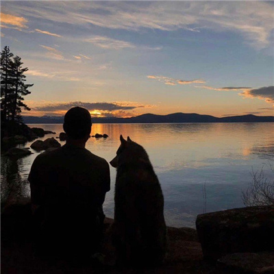 2023可爱男头呆萌奶狗最爱 等风来不如追风去