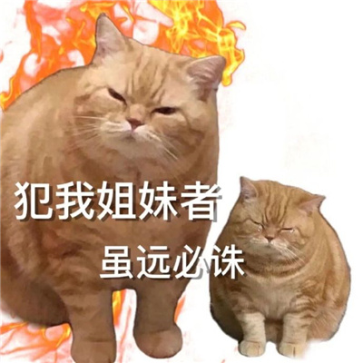 2023十秒必笑的表情热门合集 逗比必备的搞怪表情最新