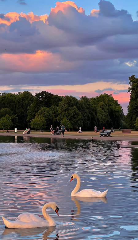 2023手机壁纸美图大全高清全屏 做事躲边边吃饭垒尖尖