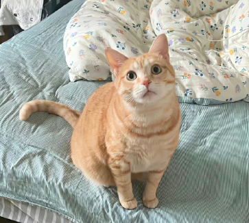 钱让你认清现实说说 没钱现实又很扎心的句子 钱让你认清现实说说 没钱现实又很扎心的句子