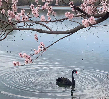 适合在朋友圈活跃的文案 有吸引力的朋友圈说说 适合在朋友圈活跃的文案 有吸引力的朋友圈说说