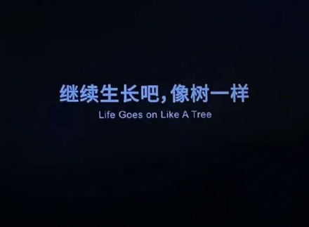 容易吸引人的微信网名 稳重又很气质的网名 容易吸引人的微信网名 稳重又很气质的网名