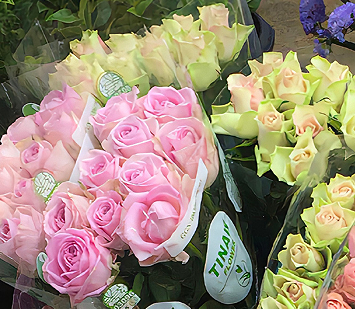 520送给爱人鲜花的祝福语 2023情人节鲜花贺卡语录简短 520送给爱人鲜花的祝福语 2023情人节鲜花贺卡语录简短