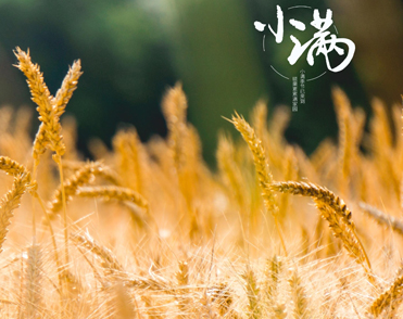 2023二十四节气小满祝福语 小满节气发的温馨短句 2023二十四节气小满祝福语 小满节气发的温馨短句