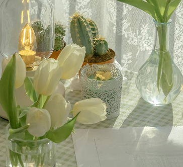 又到了没有衣服穿的季节说说 女人换季缺衣服的句子