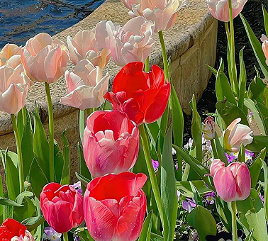 承认自己脾气不好的说说 表达自己脾气暴躁的句子