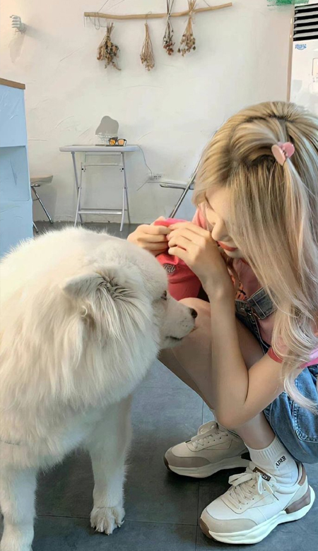 超赞的壁纸高清2023 超火又超美的靓丽皮肤