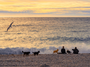 心好累好压抑精神崩溃的网名 心情低落烦躁想哭又很压抑的网名 心好累好压抑精神崩溃的网名 心情低落烦躁想哭又很压抑的网名