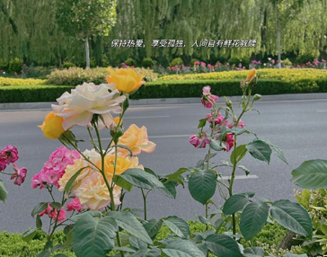 周末刷个存在感的说说文案 冒个泡刷个存在感说说 周末刷个存在感的说说文案 冒个泡刷个存在感说说