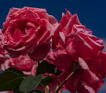 单身女人吸引男人的个性签名 男生一看就心动的个性签名 单身女人吸引男人的个性签名 男生一看就心动的个性签名