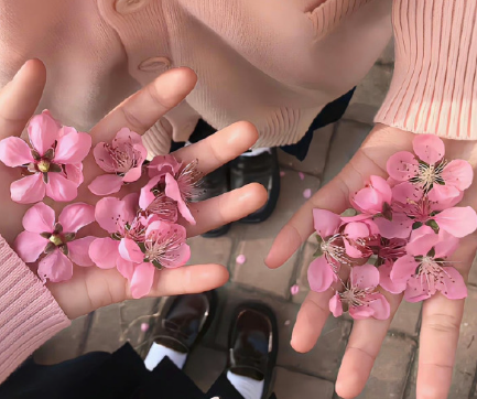 心死的网名绝望伤感 2023绝望时用的昵称