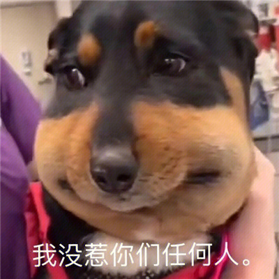 超赞的表情带字很可爱 满是那种世俗愿望