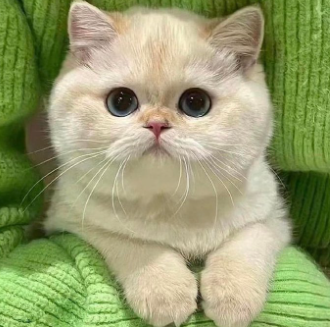 不烂大街的高级签名 适合长期置顶的短句签名