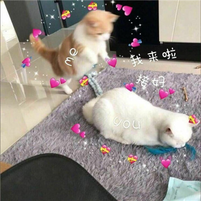 最新好用的暧昧期表情包 撩人于无形的表情