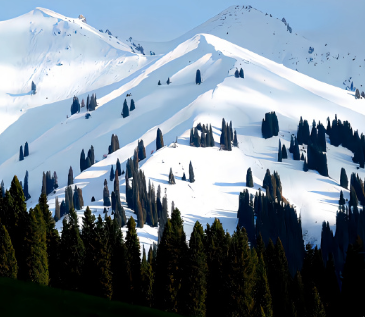 一个人寒了心的微信名 清空自己把心归零微信名 一个人寒了心的微信名 清空自己把心归零微信名