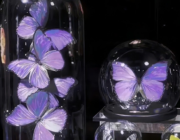 生活被磨平了棱角说说 岁月磨平了棱角和脾气句子 生活被磨平了棱角说说 岁月磨平了棱角和脾气句子