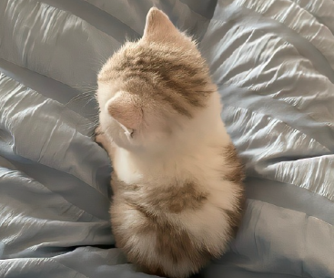 离婚后净身出户女人的说说 净身出户心情短语