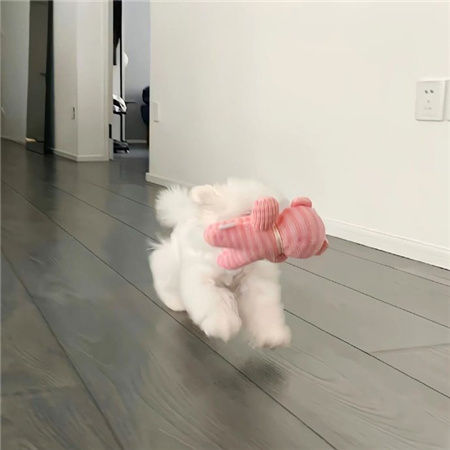 最新值得尝试的朋友圈背景图 高级又舒心的背景素材合集