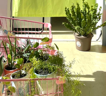 夏季晒的黢黑的搞笑说说 女孩子晒黑了幽默说说 夏季晒的黢黑的搞笑说说 女孩子晒黑了幽默说说