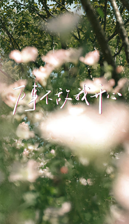 太爱的锁屏壁纸颜值治愈 干净又很流行的锁屏有绝美