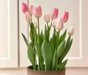 可爱版未注册微信id 很独特新出炉的可爱昵称