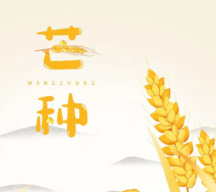 2023芒种节气最新祝福语 二十四节气芒种心情短句