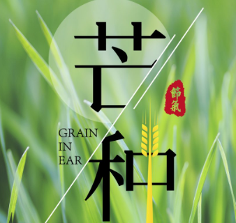 2023芒种节气最新祝福语 二十四节气芒种心情短句 2023芒种节气最新祝福语 二十四节气芒种心情短句