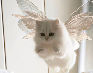 青春没有售价朋友圈文案 青春没有售价疯狂就在当下的句子 青春没有售价朋友圈文案 青春没有售价疯狂就在当下的句子