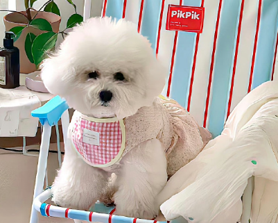 想沉默的伤感签名 沉默不想说话的签名 想沉默的伤感签名 沉默不想说话的签名