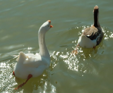 最近过的很不堪的签名 干什么都不顺的签名 最近过的很不堪的签名 干什么都不顺的签名