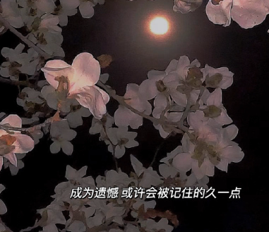 人生没什么好迷茫的说说 生活往前看开点的句子 人生没什么好迷茫的说说 生活往前看开点的句子