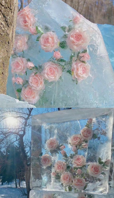 电子降温壁纸养眼舒心 给你和手机降降温的清凉壁纸合集