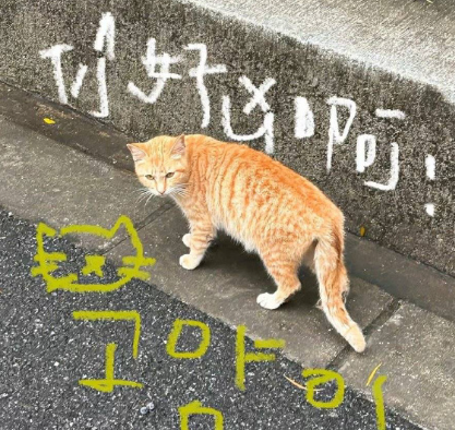 一眼惊鸿的八字微信签名 八字签名句句封神 一眼惊鸿的八字微信签名 八字签名句句封神