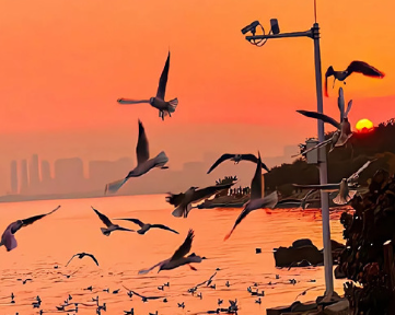 到了晚上就郁闷想哭的说说 深夜催泪语录最新版 到了晚上就郁闷想哭的说说 深夜催泪语录最新版