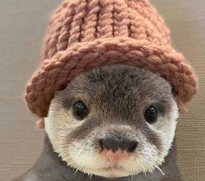 有点中二病的废话文学文案 中二病的搞笑语录 有点中二病的废话文学文案 中二病的搞笑语录