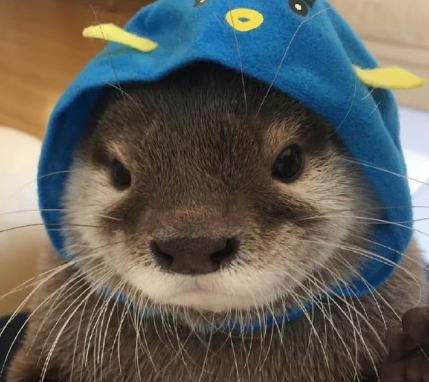 有点中二病的废话文学文案 中二病的搞笑语录 有点中二病的废话文学文案 中二病的搞笑语录