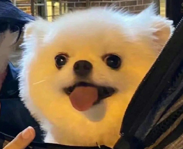 晒毕业证的文案简短 拿到毕业证发幽默说说 晒毕业证的文案简短 拿到毕业证发幽默说说