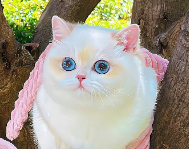 文艺且浪漫的签名最新 很喜欢的干净签名最新版