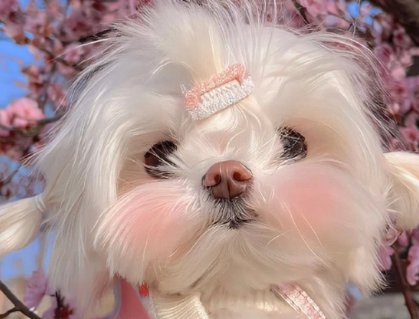 高级的个性签名很吸睛有创意 独特而有个性的高级签名 高级的个性签名很吸睛有创意 独特而有个性的高级签名