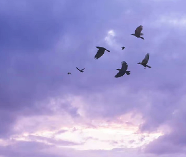 晒对象礼物的甜甜说说 对象送我礼物发朋友圈文案 晒对象礼物的甜甜说说 对象送我礼物发朋友圈文案