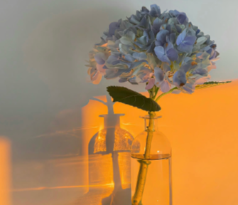 陪妈妈逛街的心情说说 闺女陪妈妈逛街文案 陪妈妈逛街的心情说说 闺女陪妈妈逛街文案