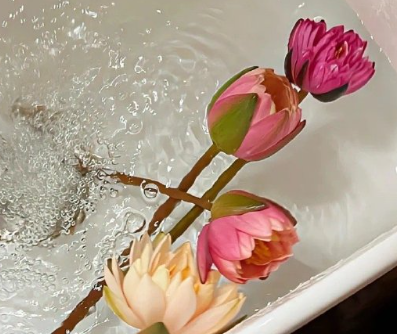 辛苦一天安慰自己心情的句子 自我安慰的说说 辛苦一天安慰自己心情的句子 自我安慰的说说