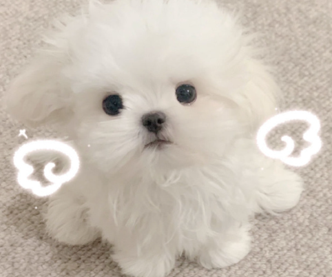 静心又好听的英文昵称 蕴藏独特韵味的昵称 静心又好听的英文昵称 蕴藏独特韵味的昵称